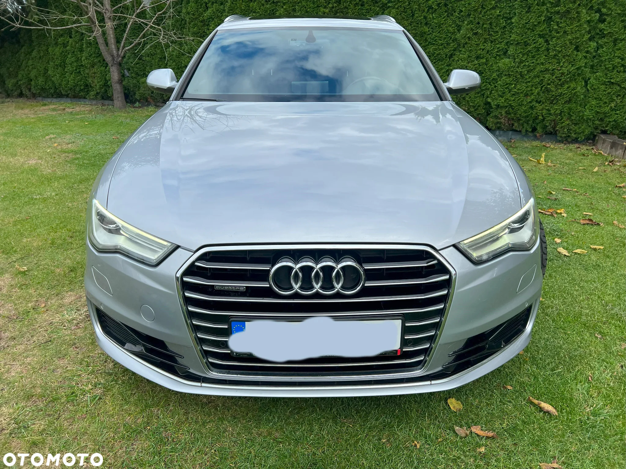 Audi A6 3.0 TDI Quattro S tronic - 5