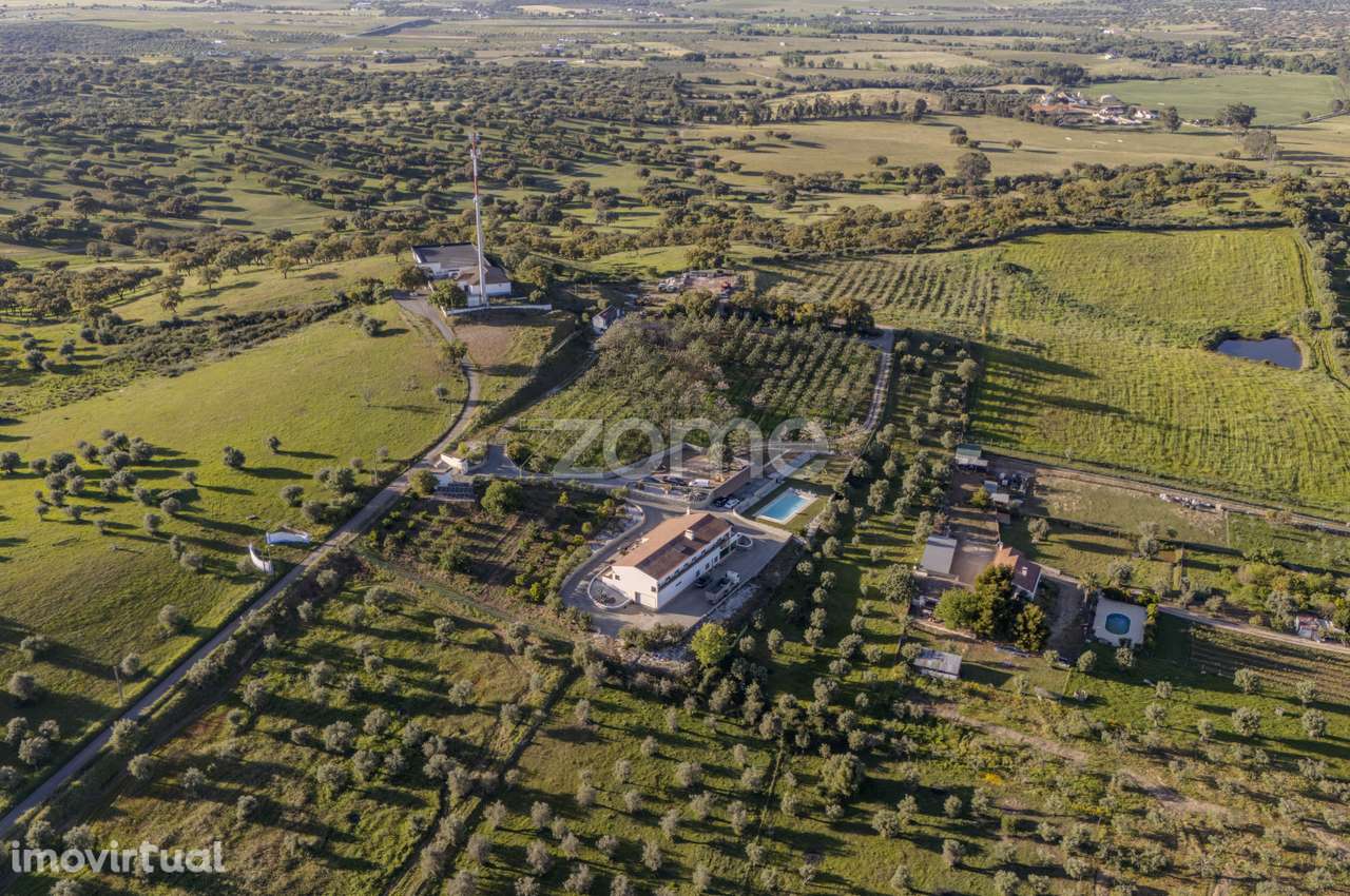 Quinta Exclusiva com 3 Hectares - Redondo - Grande imagem: 4/60