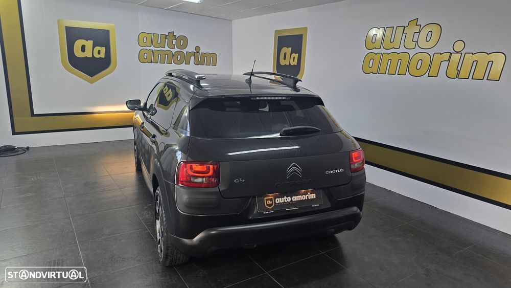 Citroën C4 Cactus 1.6 e-HDi Shine ETG6 - 17