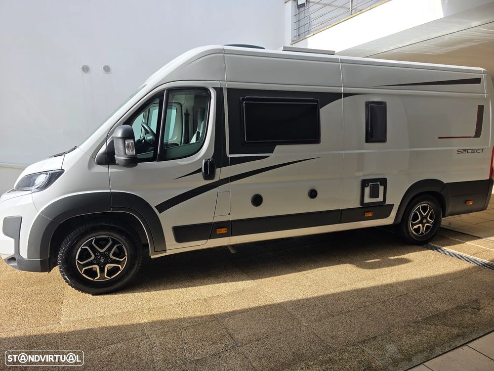 Roller Team Livingstone - 4