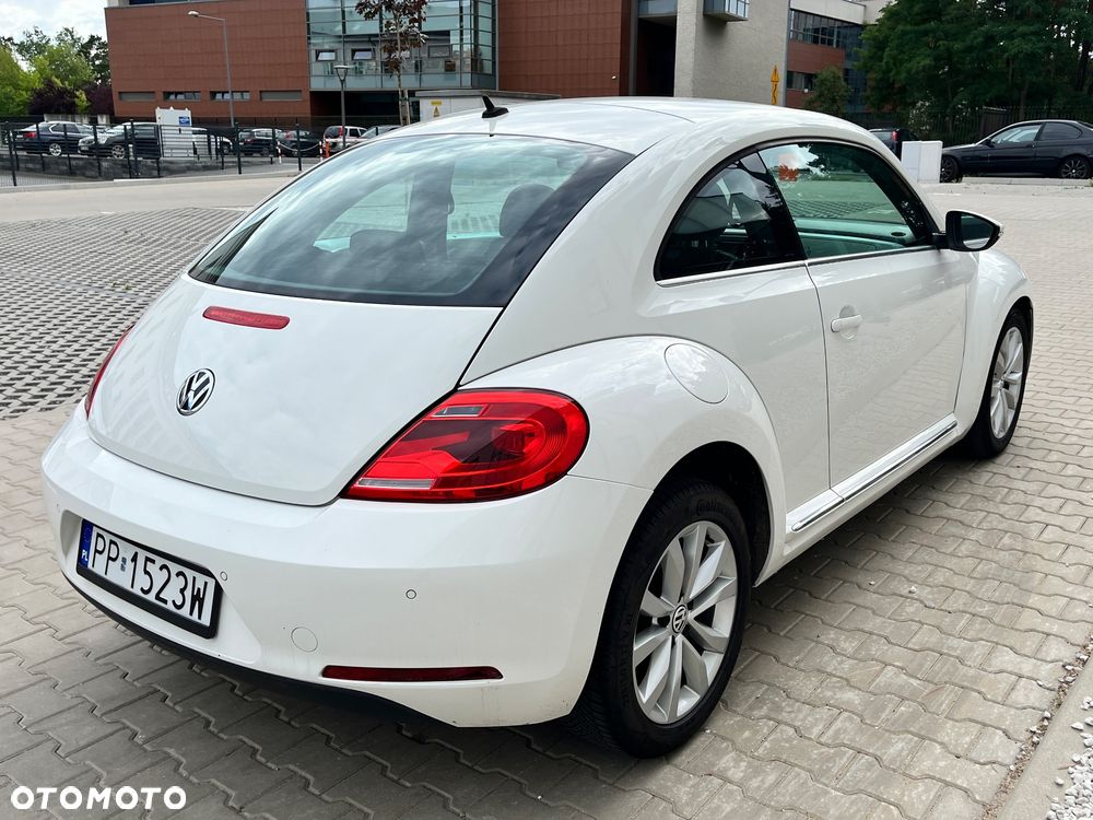 Volkswagen Beetle - 5