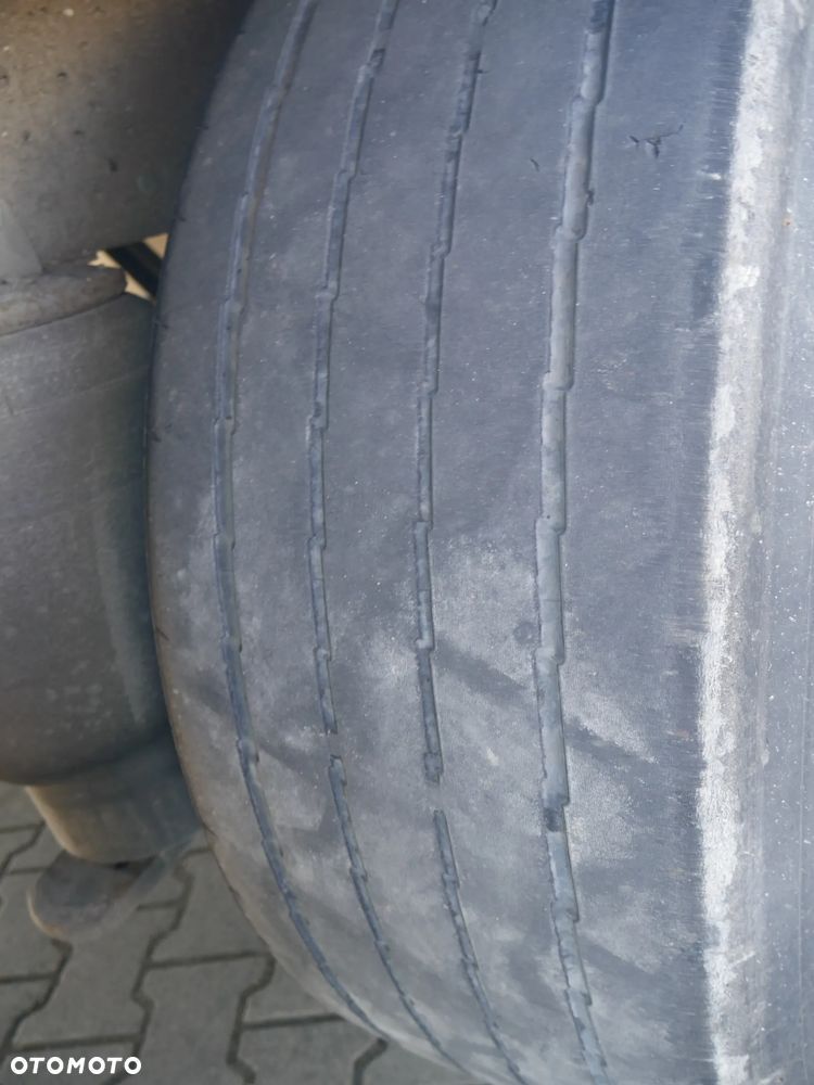 Schmitz Cargobull Firanka / Standard / TIP 641672 - 20