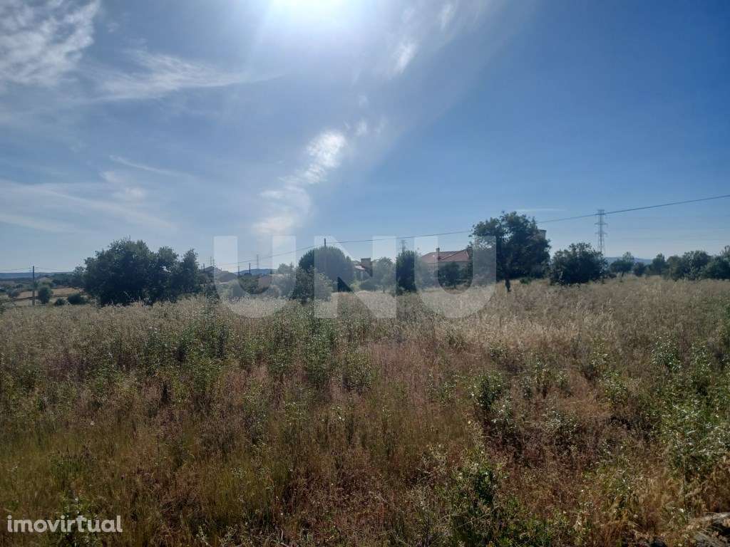 Terreno rústico com 8.160m2 em Sarnadas de Ródão - Grande imagem: 3/4