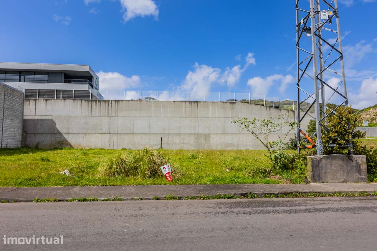 Lote Industrial - Rosto do Cão - Grande imagem: 3/6