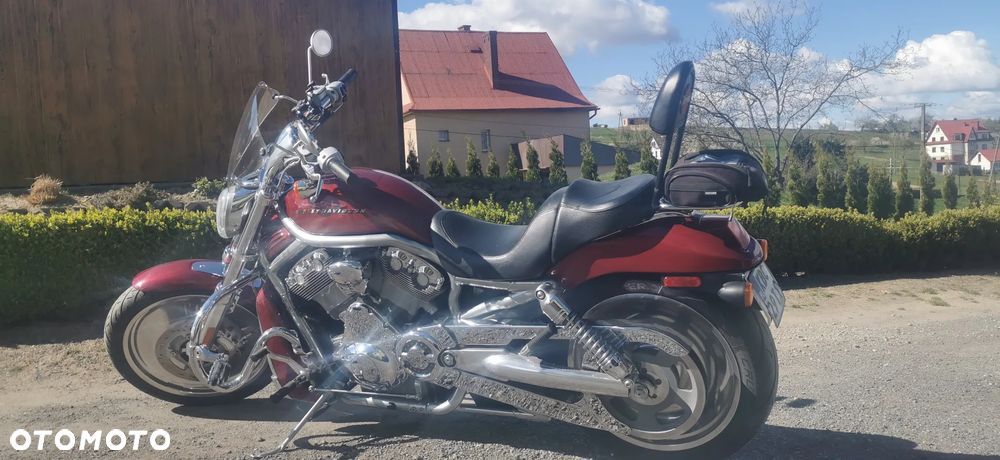 Harley-Davidson V-Rod Night Rod - 3