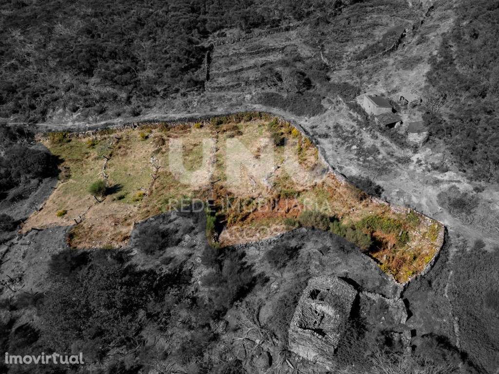 Terreno Rústico - Grande imagem: 3/21