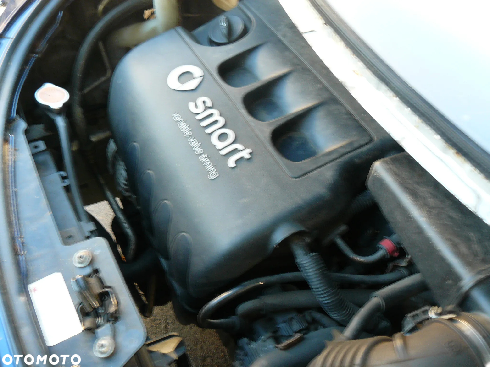 Smart Forfour - 15