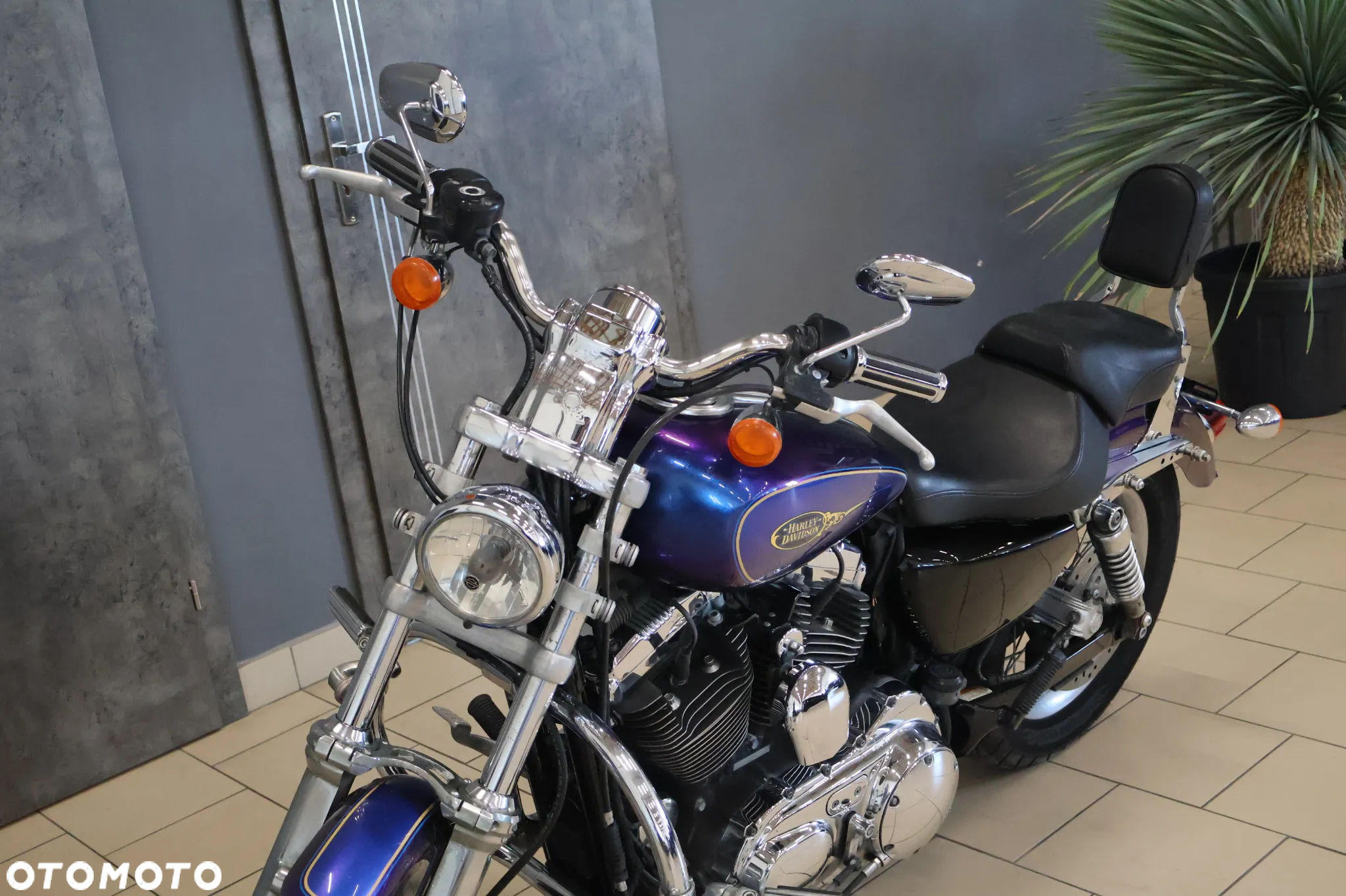 Harley-Davidson Sportster Custom 1200C - 13