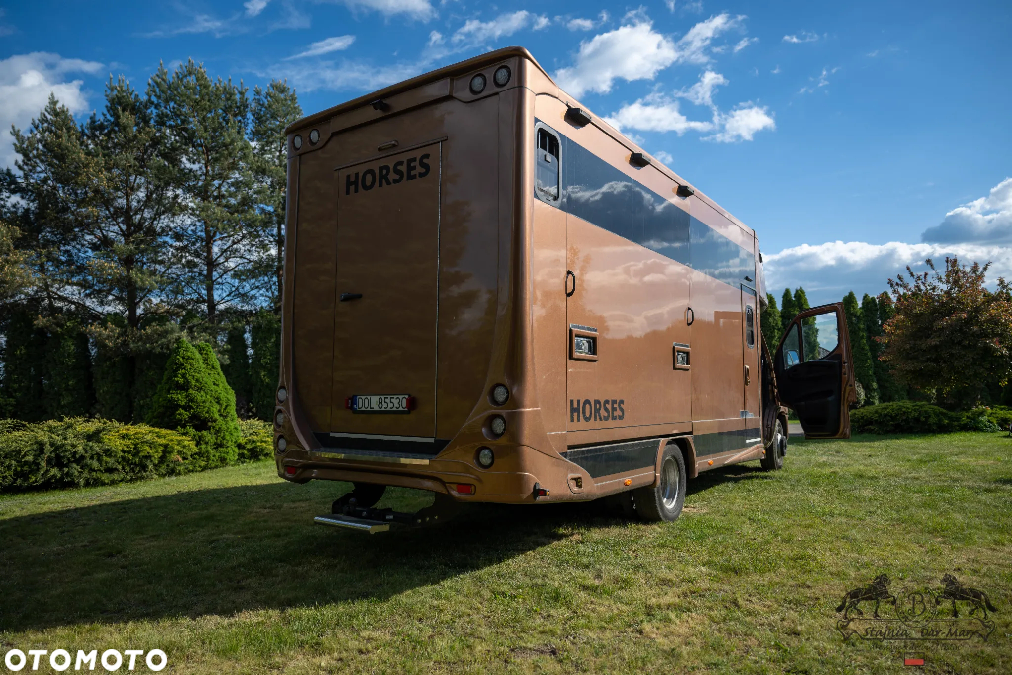 Iveco DAILY KONIOWÓZ - 6