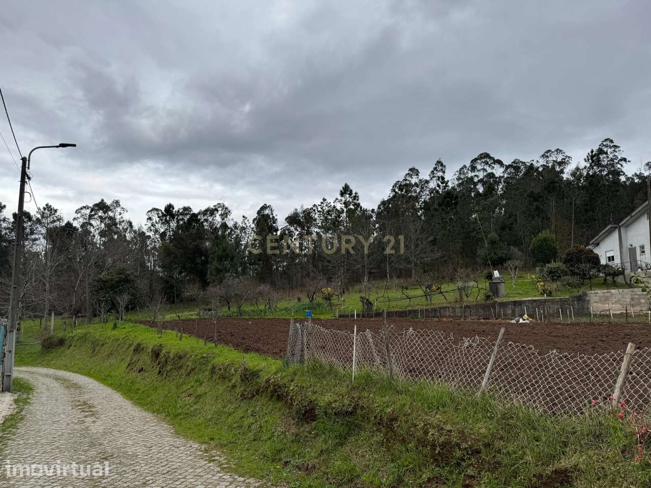 Terreno Rustico - Sandim - Grande imagem: 2/3