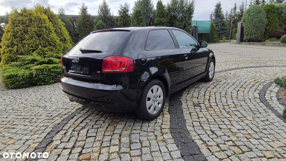 Audi A3 3-drzwiowe 1.6 Attraction - 10