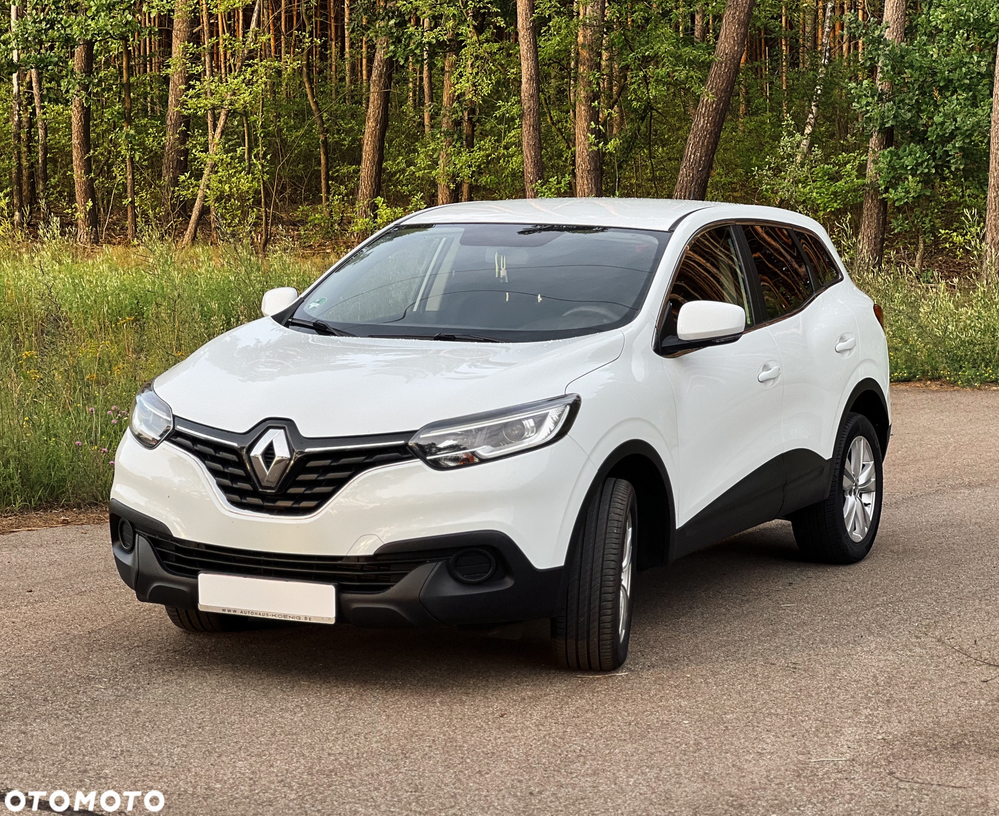 Renault Kadjar Energy TCe 130 Business - 3