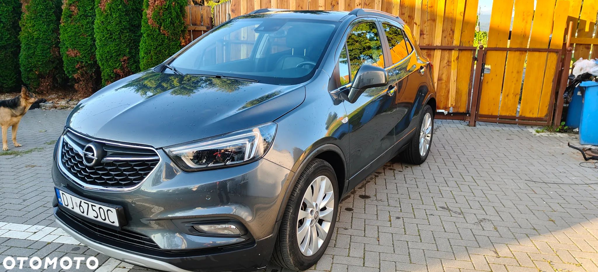Opel Mokka 1.4 T Cosmo S&S EU6 - 1