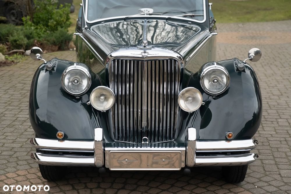 Jaguar Inny - 14