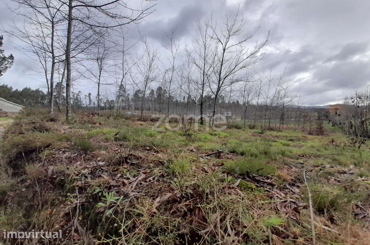Terreno para construção com 5400m2 - Grande imagem: 4/18