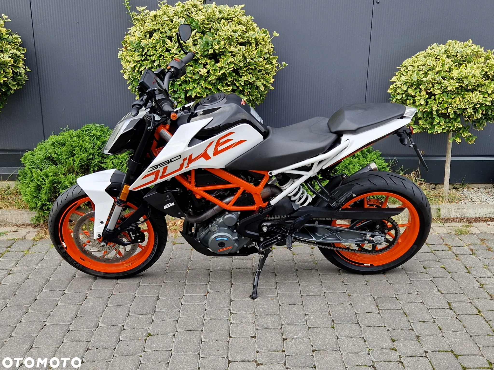 KTM Duke - 6