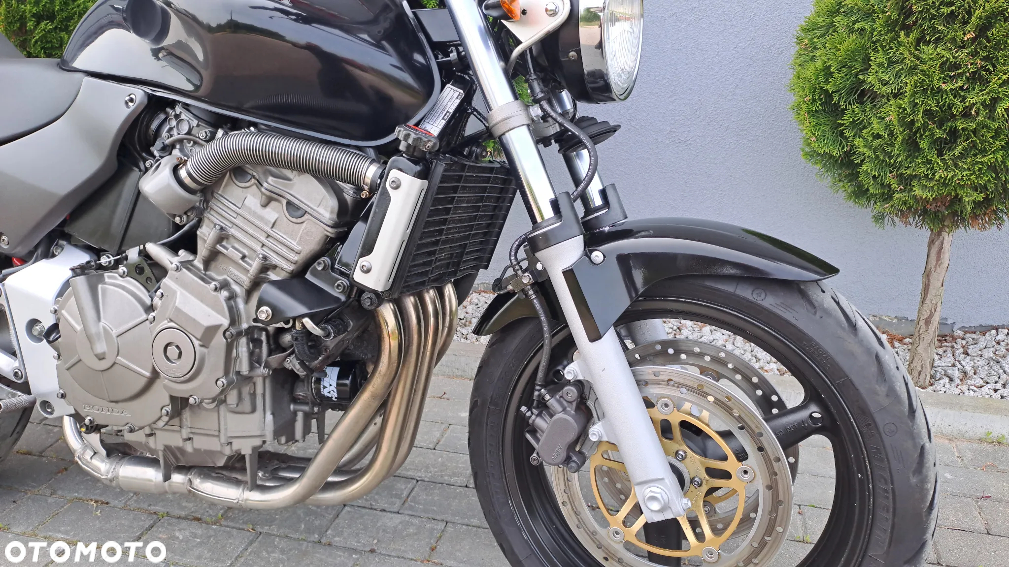 Honda Hornet - 10
