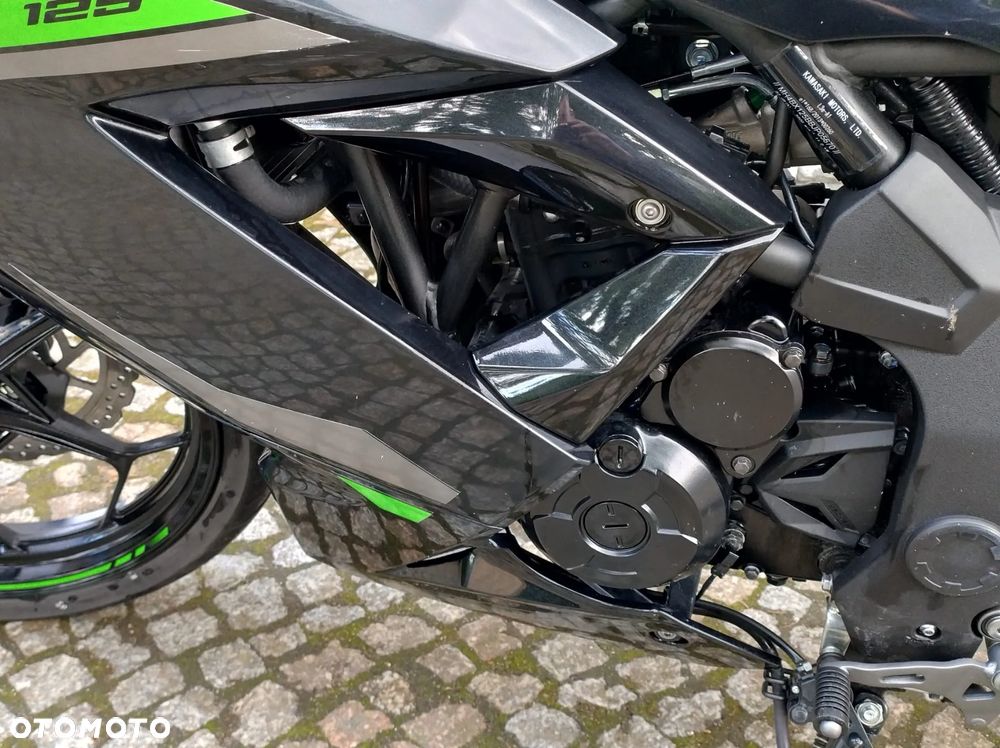 Kawasaki Ninja - 13