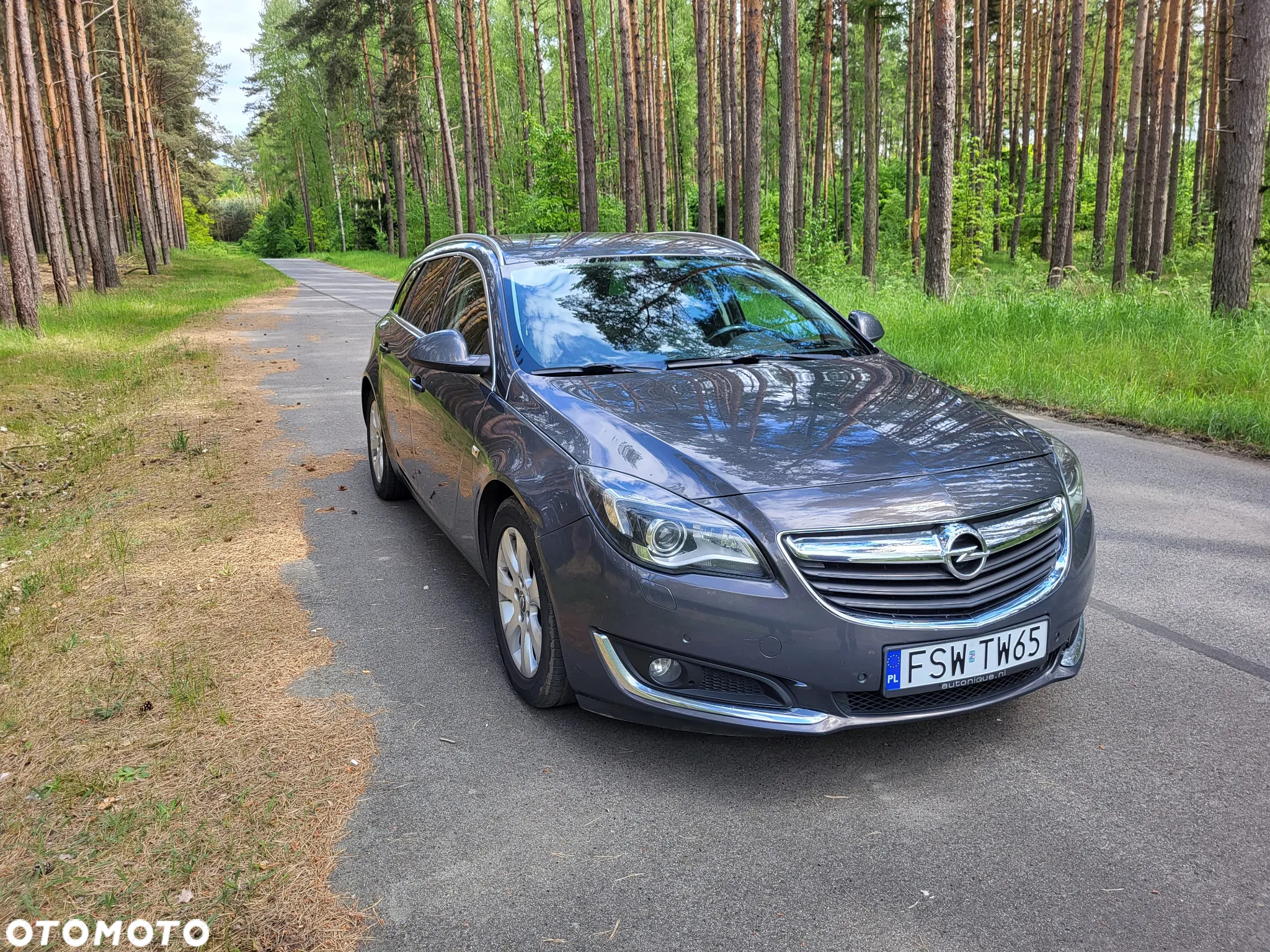 Opel Insignia 2.0 CDTI EcoFLEX S&S - 10