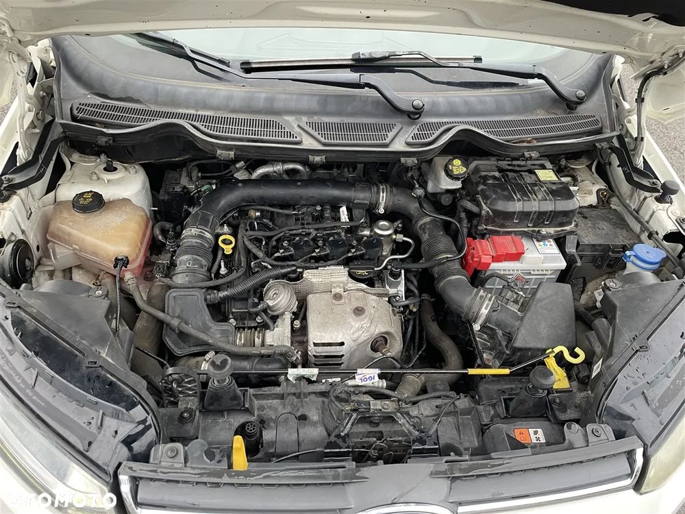 Ford EcoSport - 31