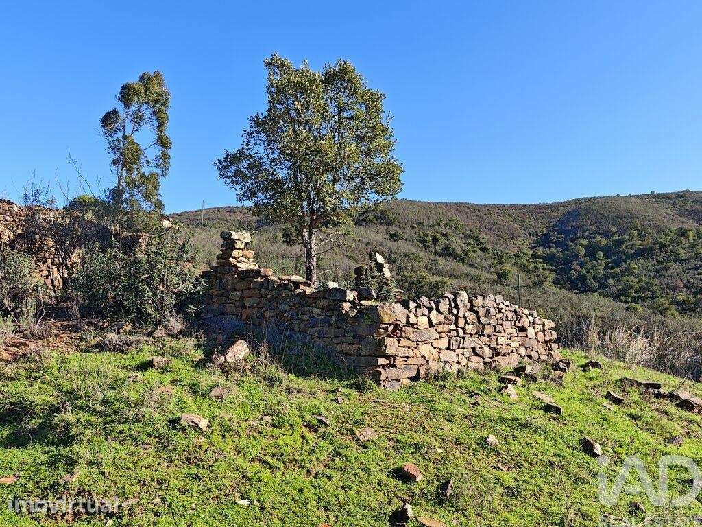 Terreno misto em São Bartolomeu de Messines - Grande imagem: 4/22
