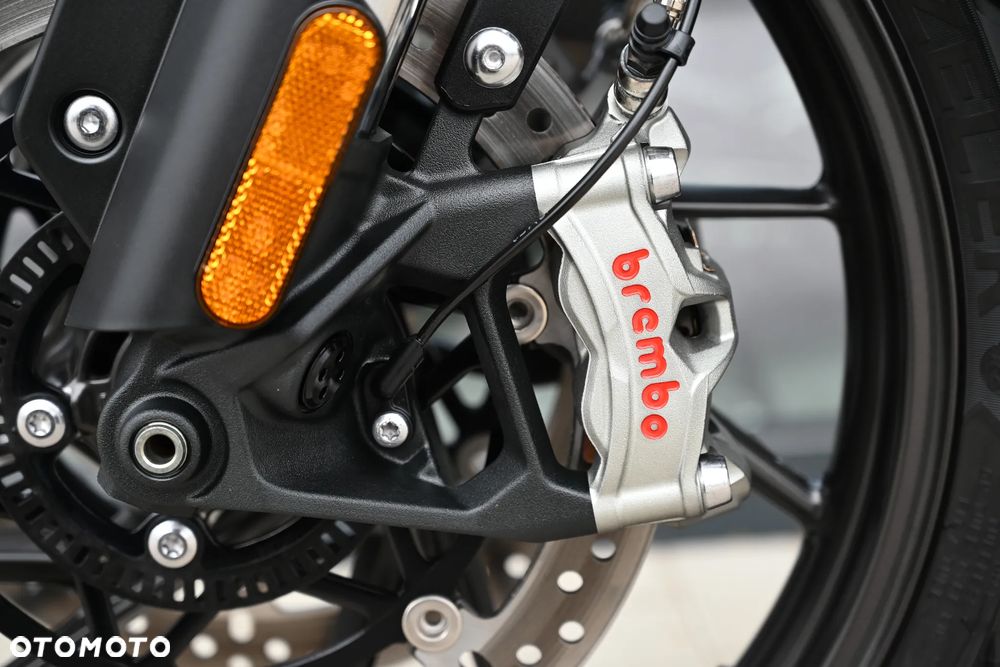 Triumph Tiger - 18