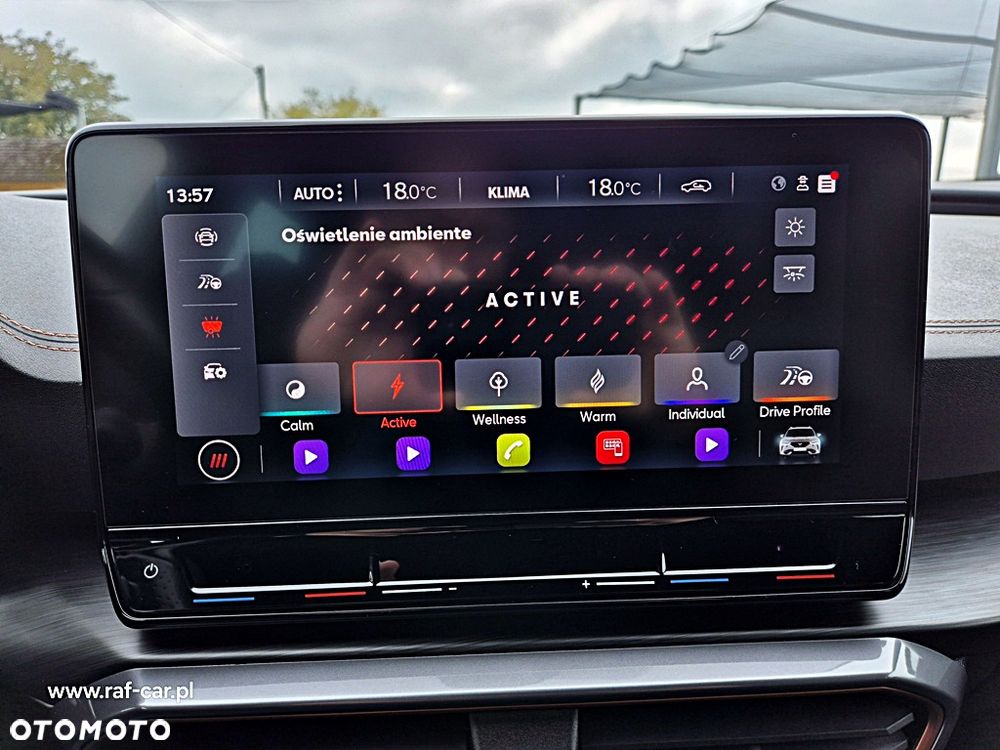 Cupra Formentor 1.5 TSI DSG - 27