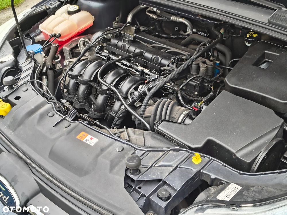 Ford Focus - 30