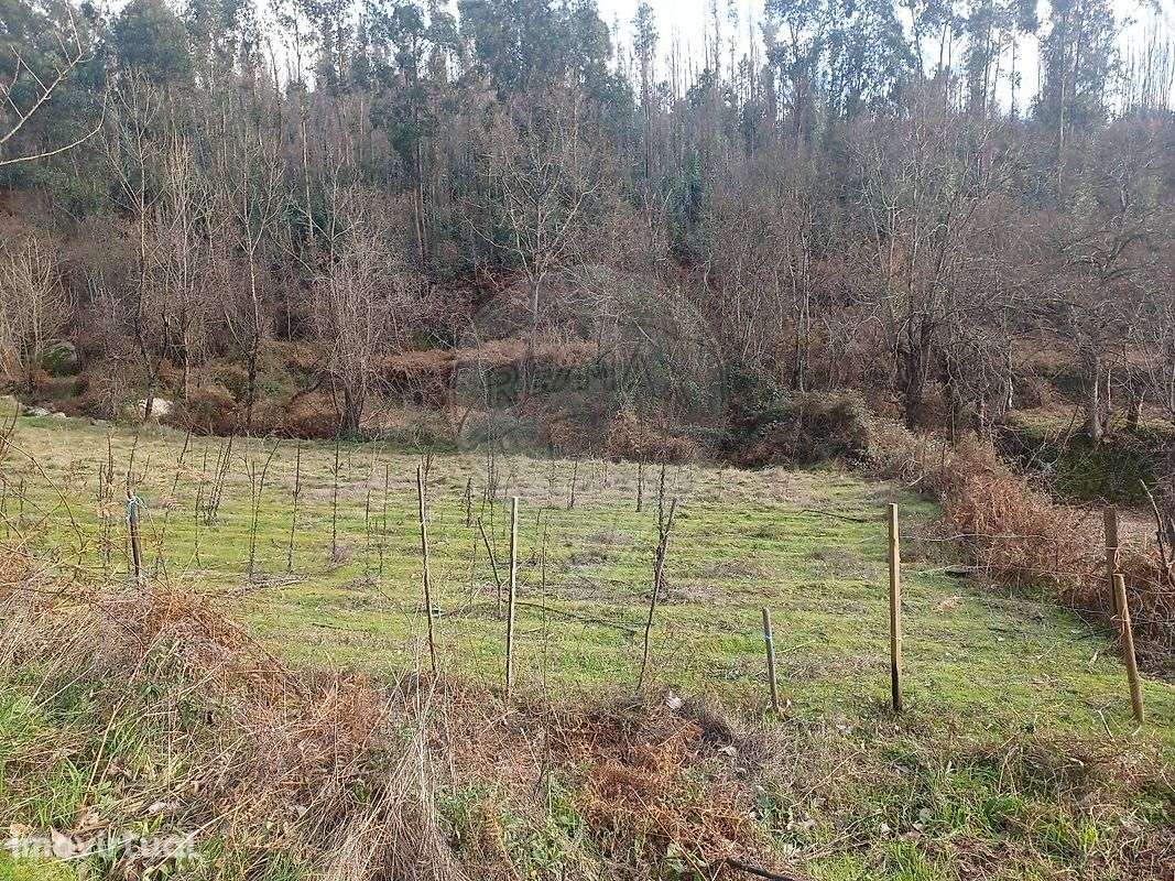 Terreno  para venda - Grande imagem: 2/6