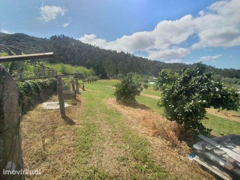 Vende-se terreno - Grande imagem: 3/5