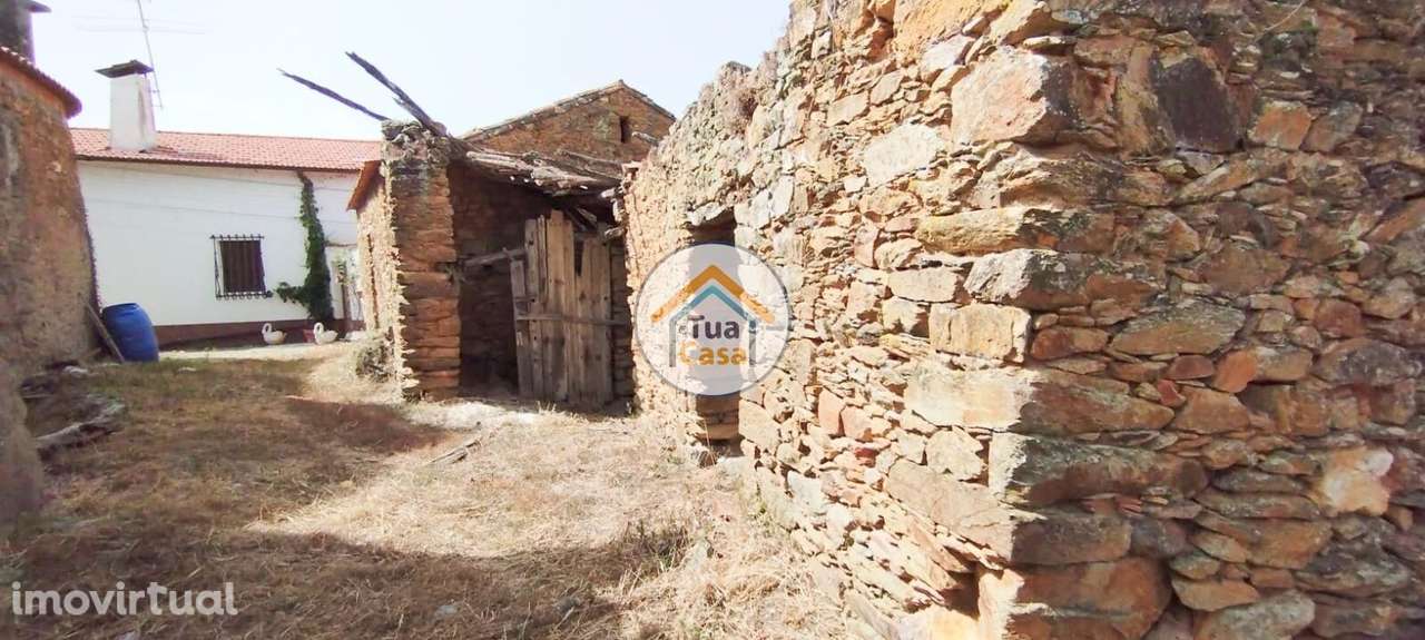 Quinta com Ruína em Oveiro, Santa Comba Dão - Grande imagem: 5/37