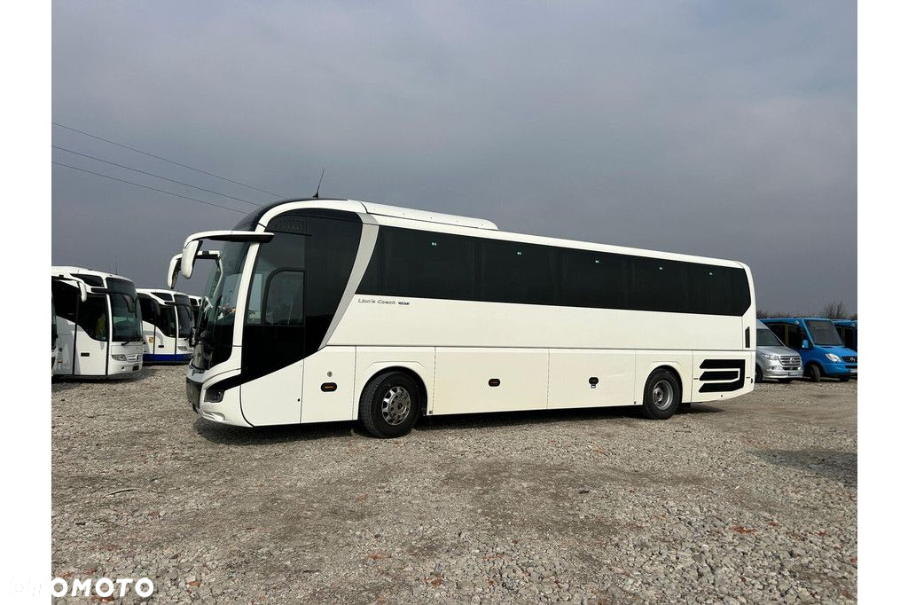 MAN Lions Coach - 18