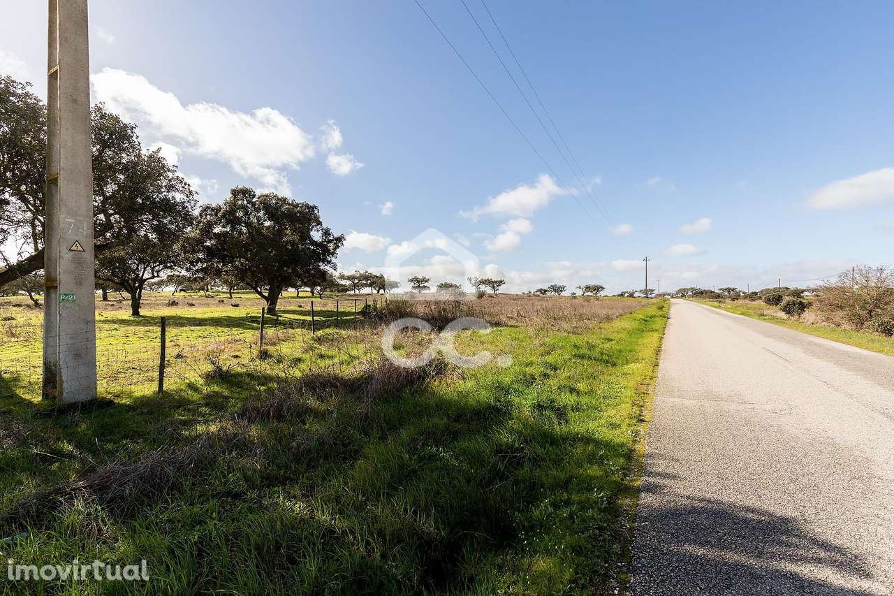 Terreno de 5,4 ha c/ Viabilidade de Construção | Capelins, Alandroal - Grande imagem: 5/50