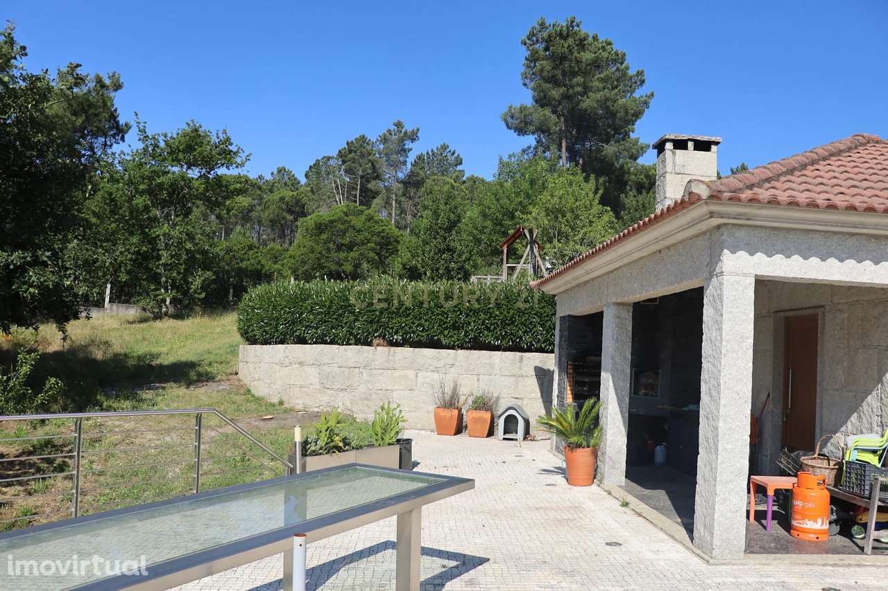 Quintinha em S. João de Lourosa com Casa e Anexos - Grande imagem: 5/26