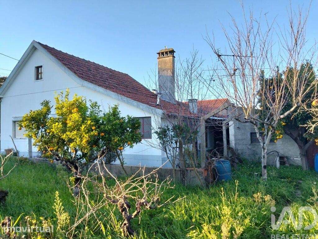 Casa de aldeia T2 em Chãos de 430,00 m2 - Grande imagem: 2/30
