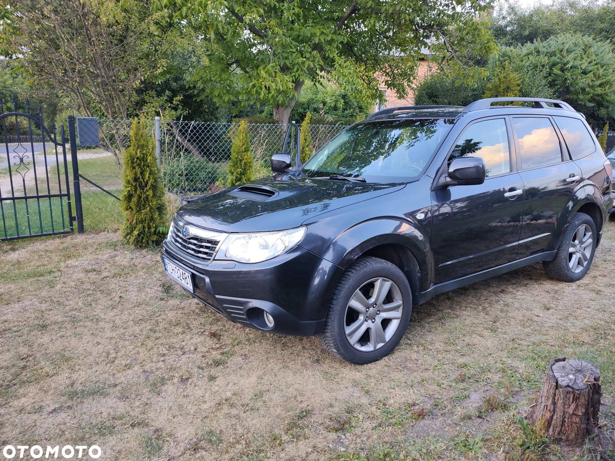 Subaru Forester - 9