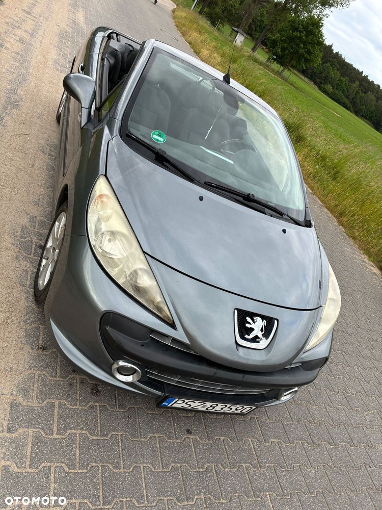 Peugeot 207 - 5