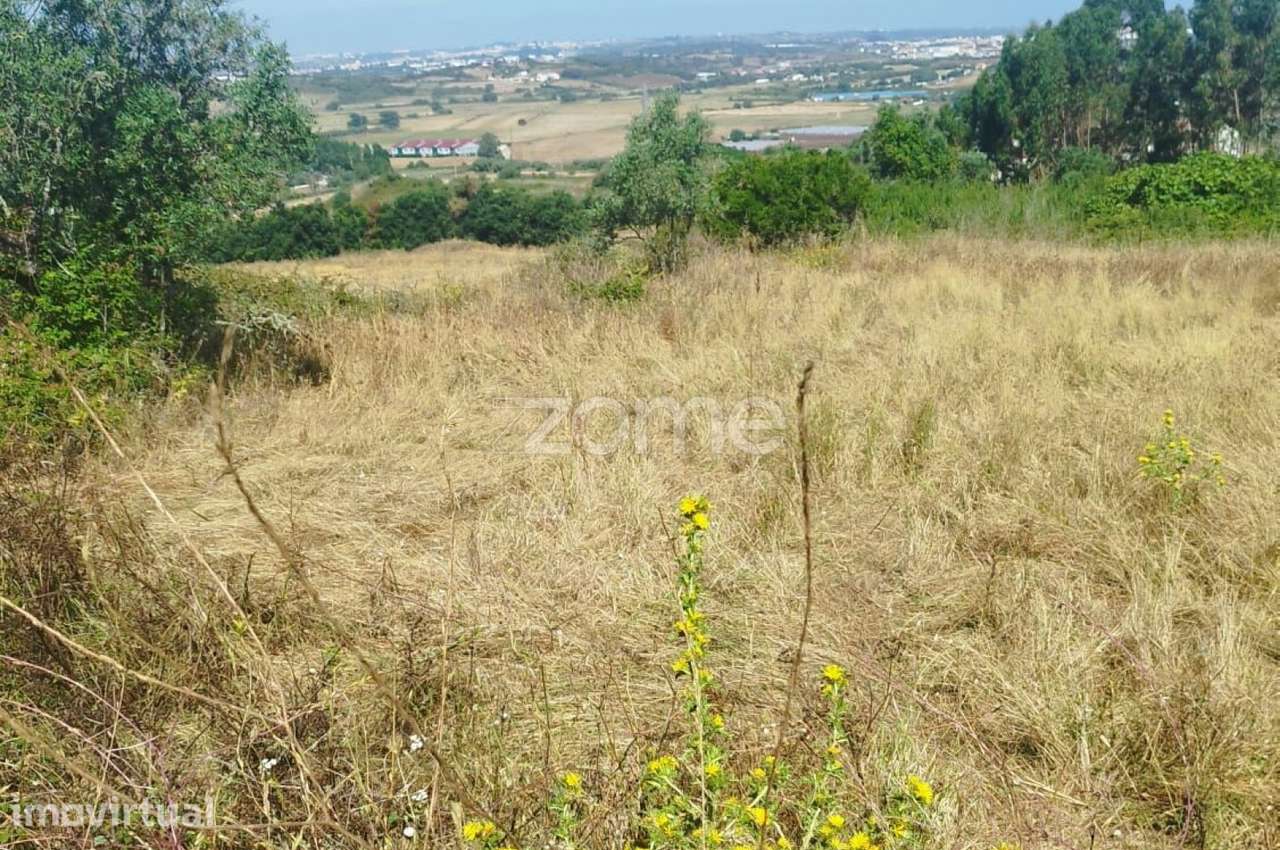 Terreno Urbano 179m2 c/ Ruína em Sintra. Ampliável c/ +2 Terrenos! - Grande imagem: 3/5