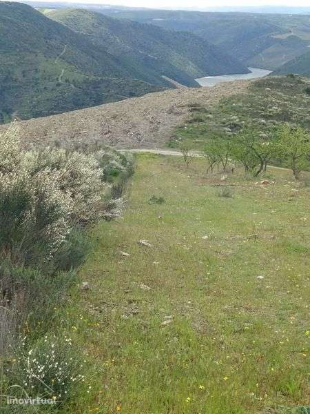 Terreno rústico em Moncorvo - Grande imagem: 3/5
