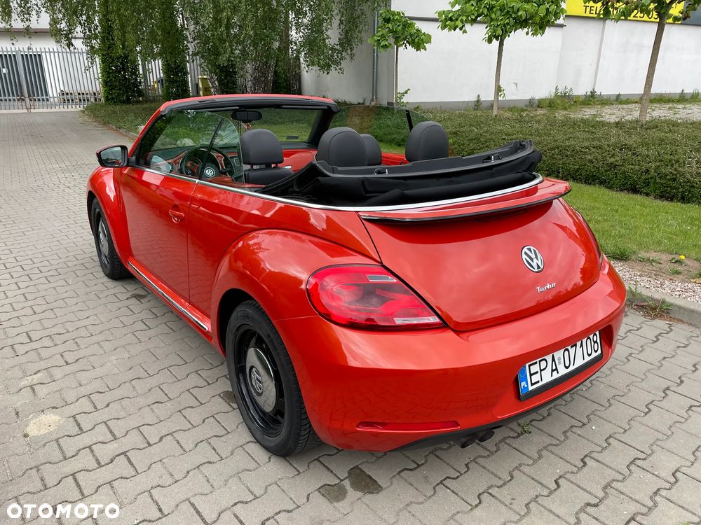 Volkswagen Beetle - 8