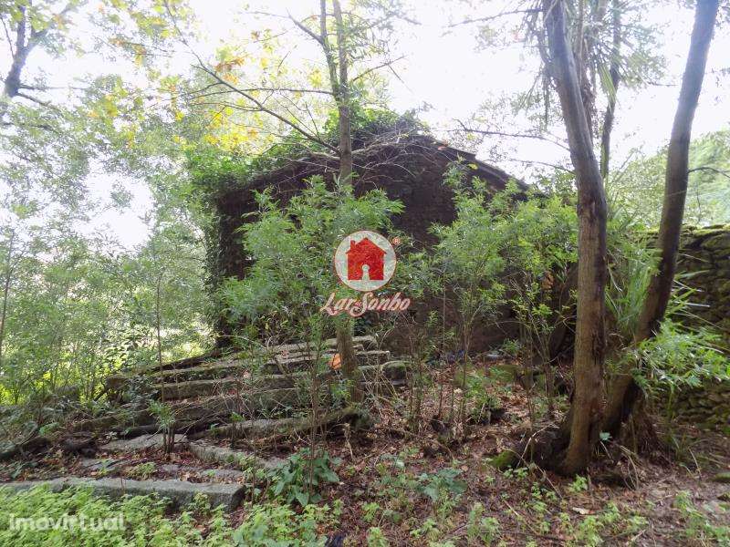 Quinta c/ 9158 m2 em Lousado, Vila Nova de Famalicão - Grande imagem: 4/17