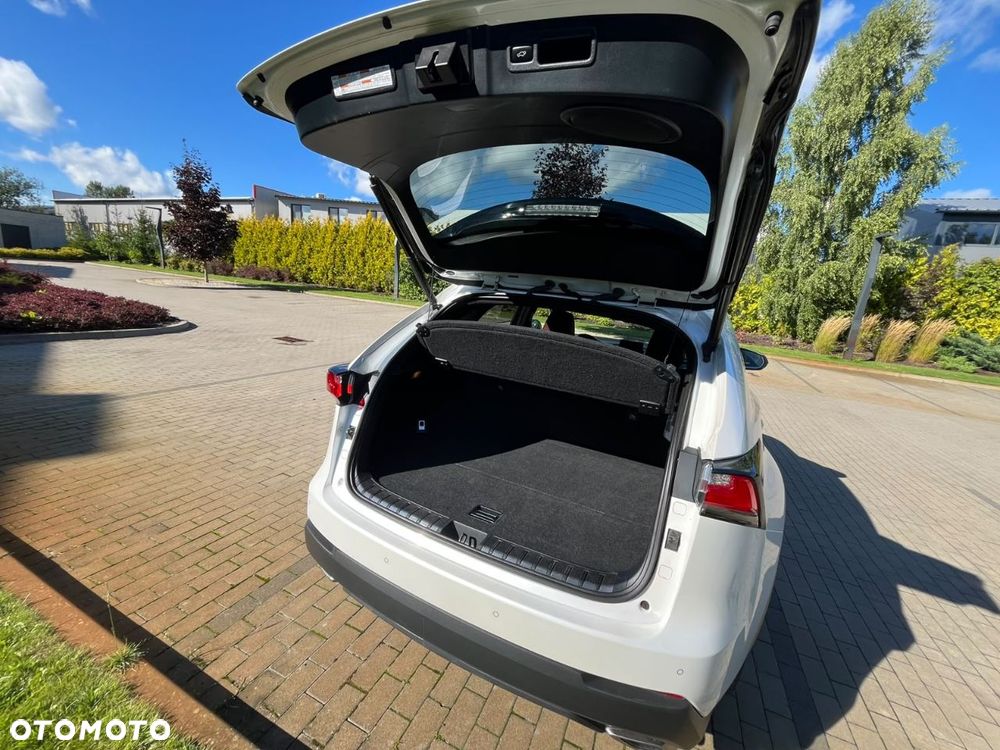 Lexus NX 200t F Sport AWD - 6