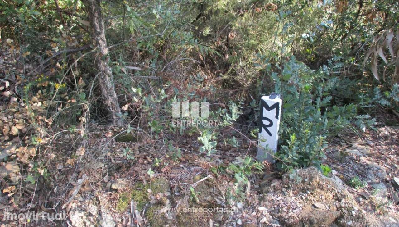 Venda Terreno com área de 15 500m2, Sebolido, Penafiel - Grande imagem: 3/10