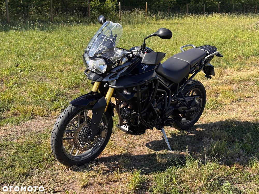 Triumph Tiger - 1