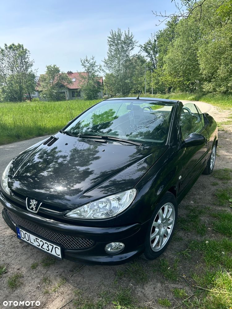 Peugeot 206 - 20