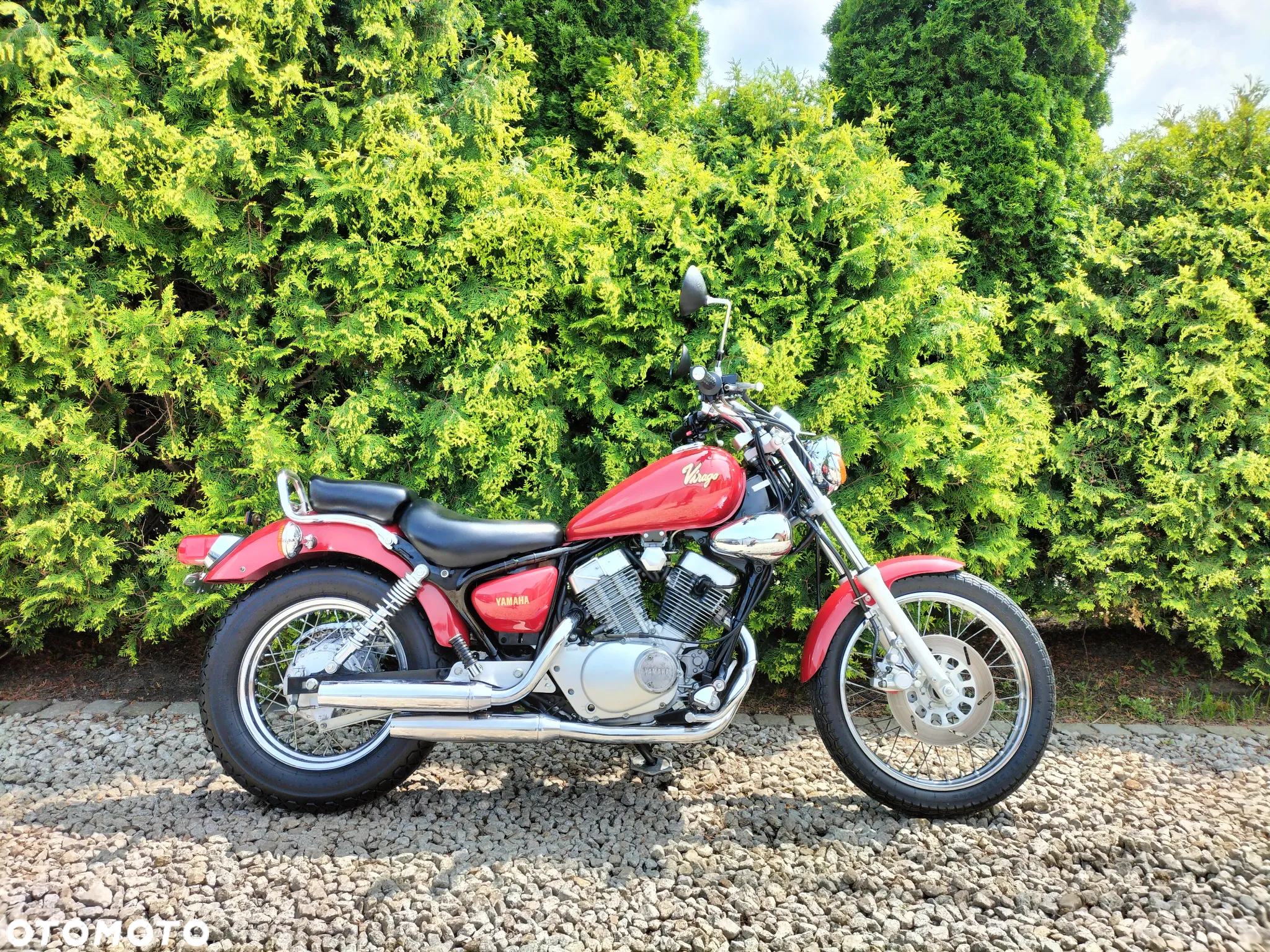 Yamaha Virago - 3