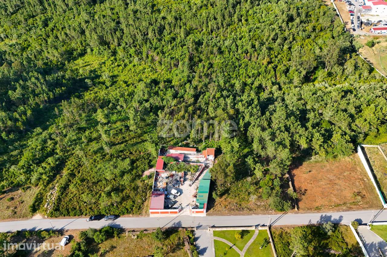 Terreno com 4.800 m² em Vale de Cântaro, Coimbra - Grande imagem: 2/15