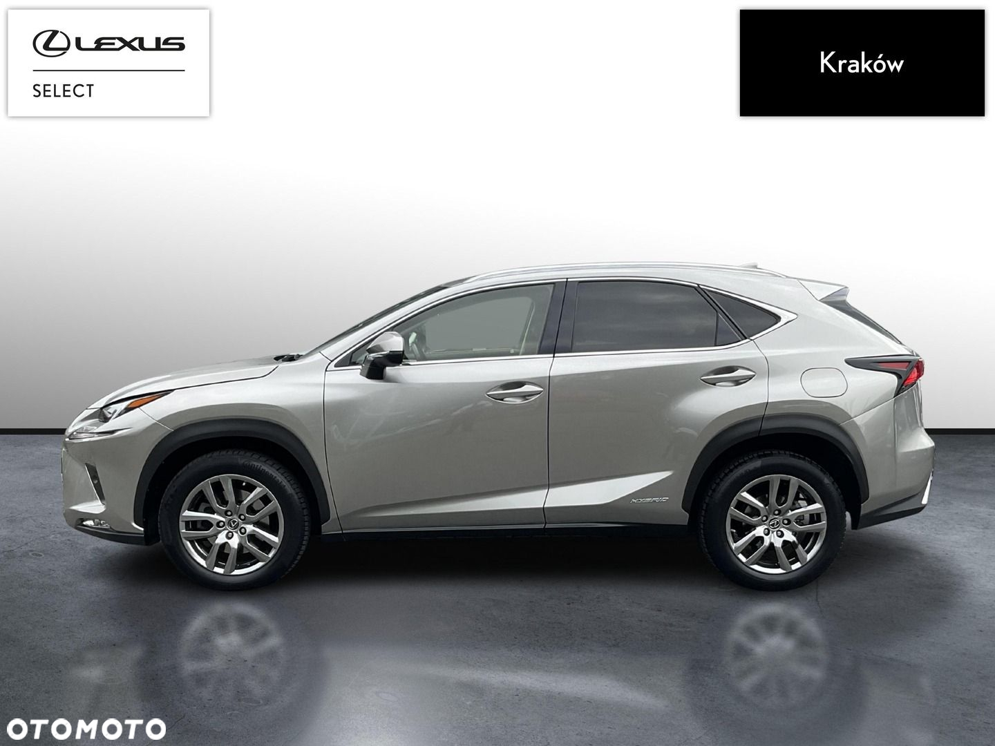 Lexus NX - 2
