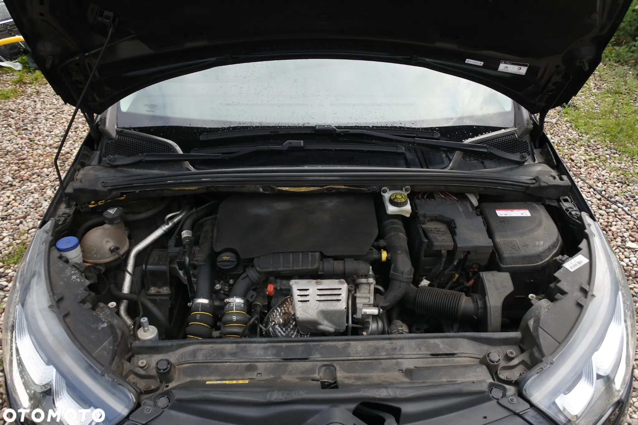 Citroën C4 PureTech 130 Stop & Start Exclusive - 30