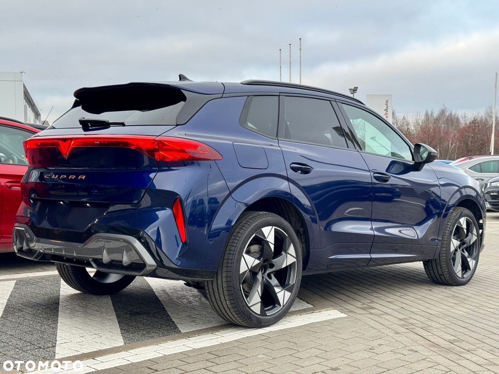Cupra Terramar 2.0 TSI 4Drive DSG - 5